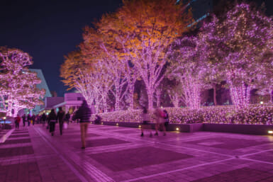 tokyo illuminations 2025 Shinjuku south