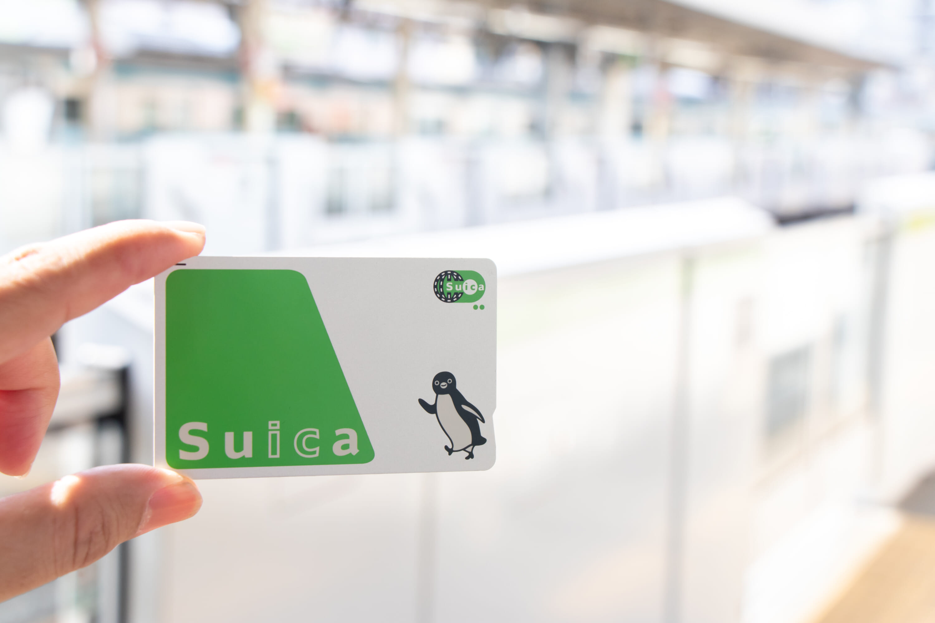Much-loved Suica penguin to retire in 2026 3 Sika Penguin