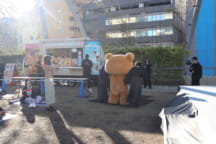 rilakkuma disqualified