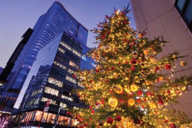 best things to do in tokyo in december