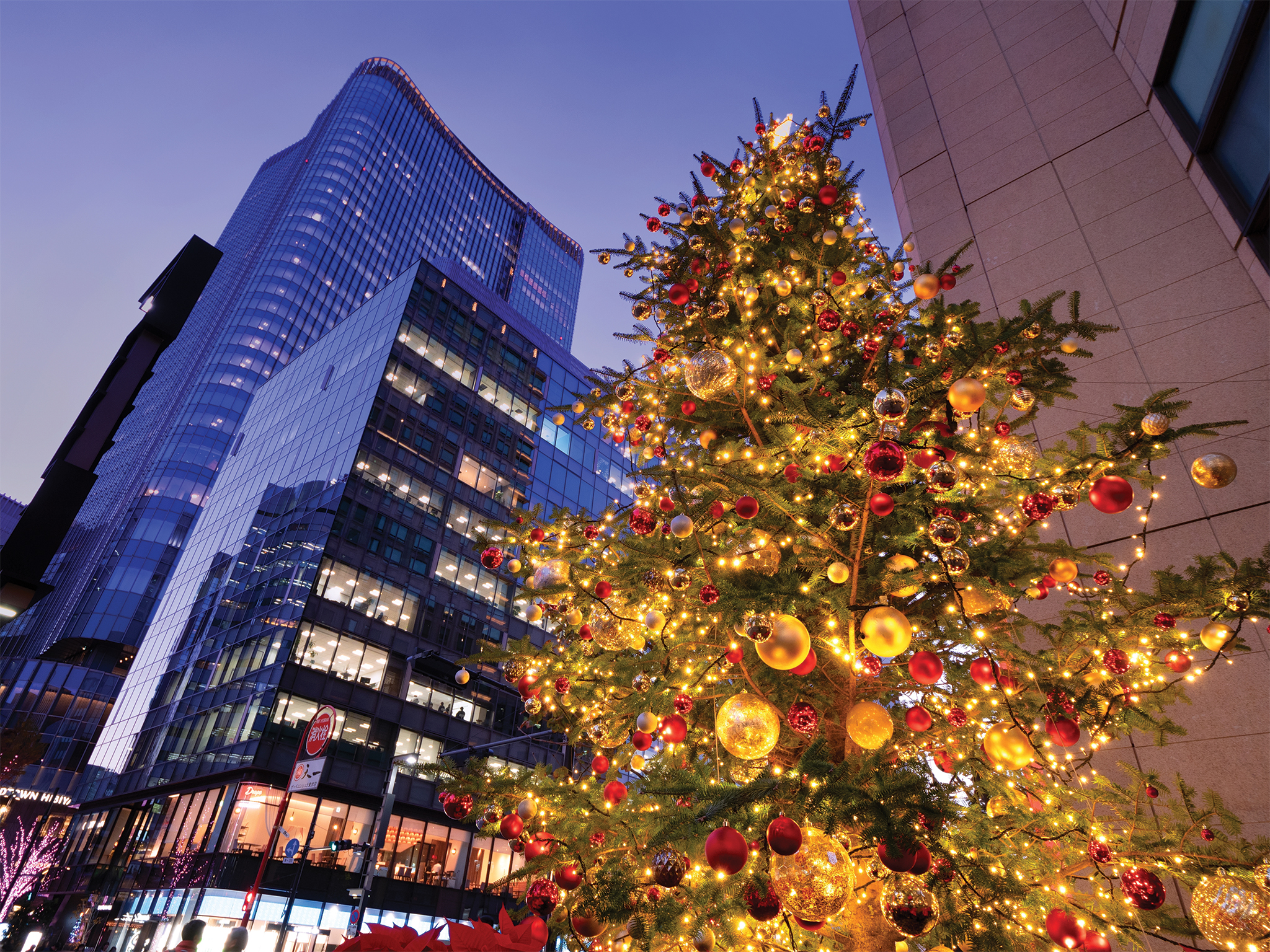 The Best Things To Do in Tokyo This Month: December 2025