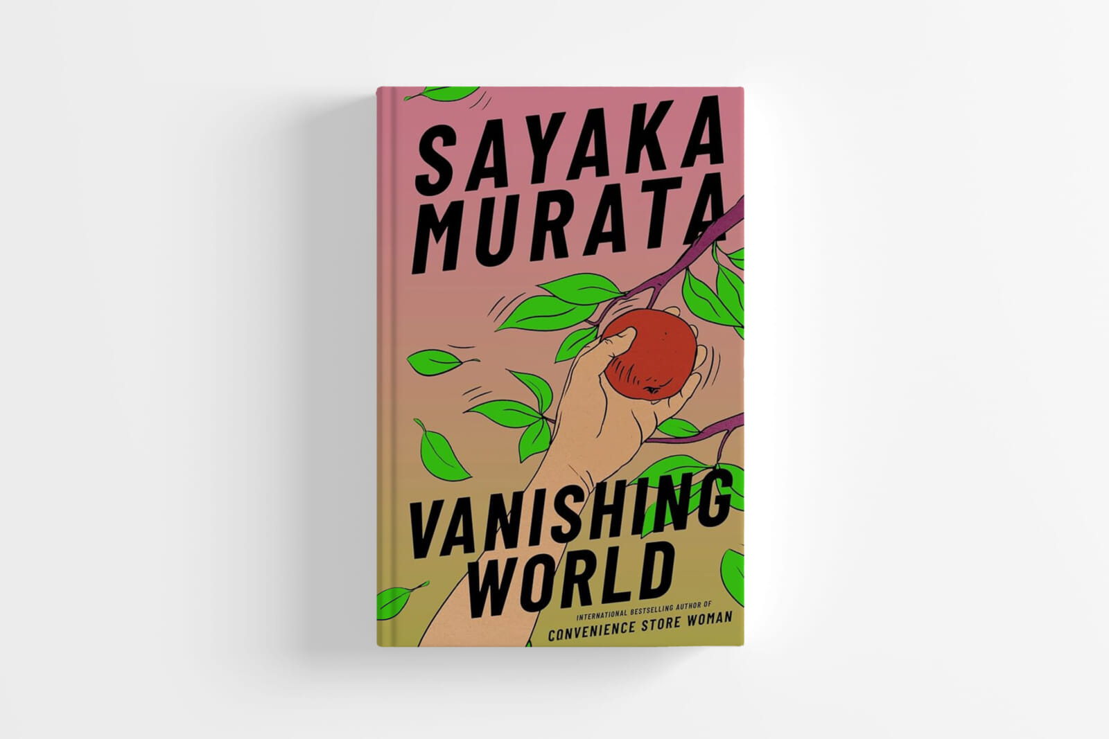 vanishing world sayaka murata japanese novels translated