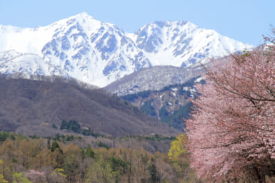 hakuba valley spring skiing