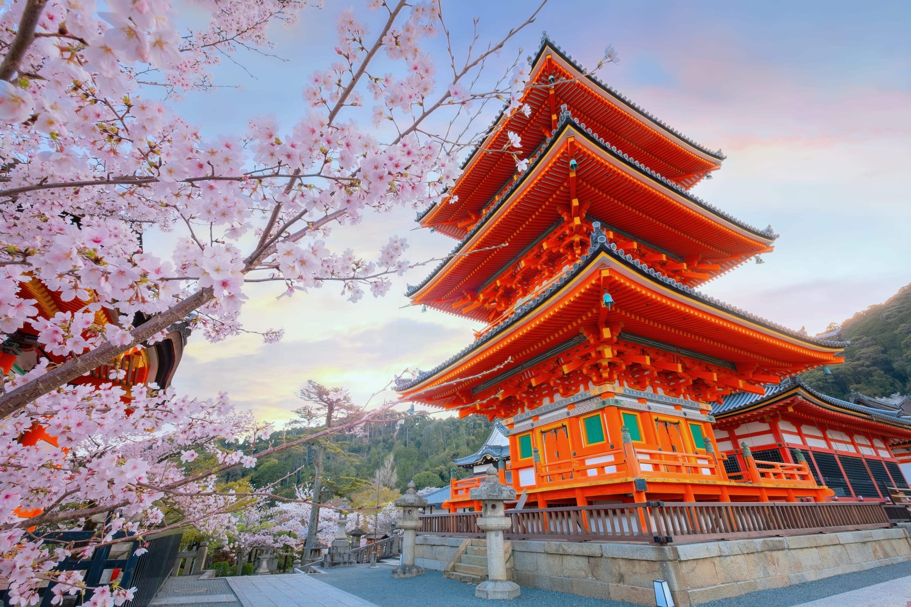 A Two-Day Itinerary for Cherry Blossom Season in Kyoto