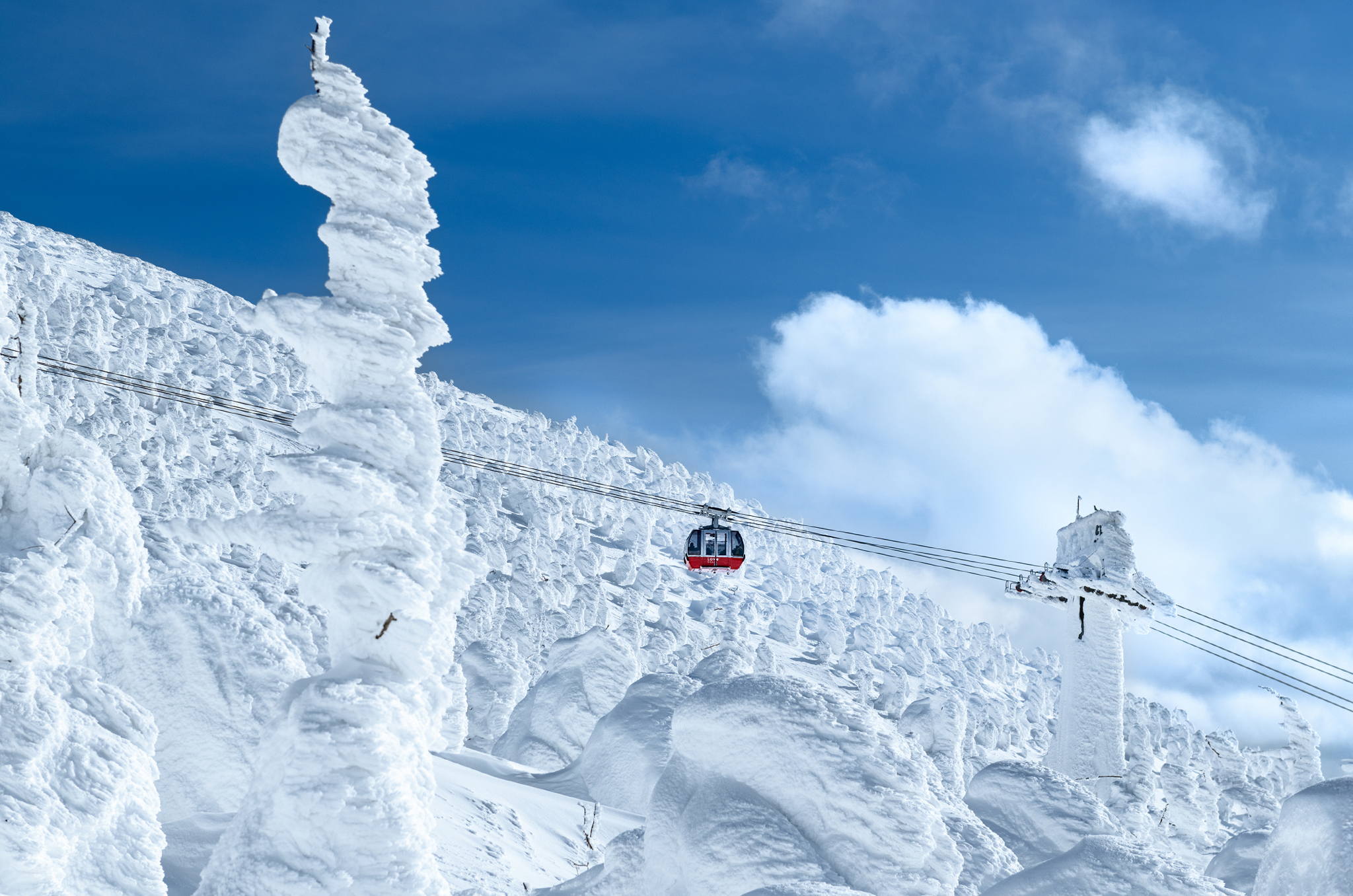 zao snow monsters winter japan