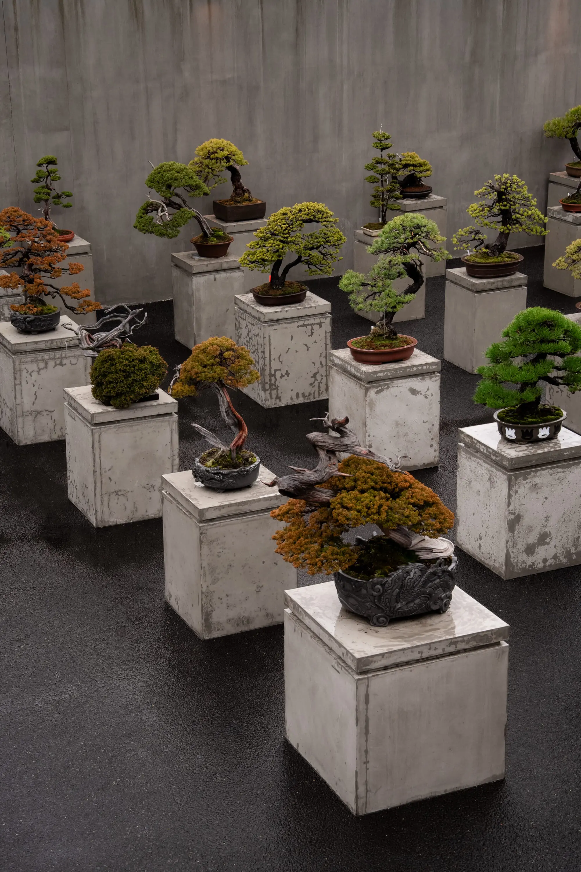 Meet the Tattooed Tokyo Bonsai Master Redefining What 
