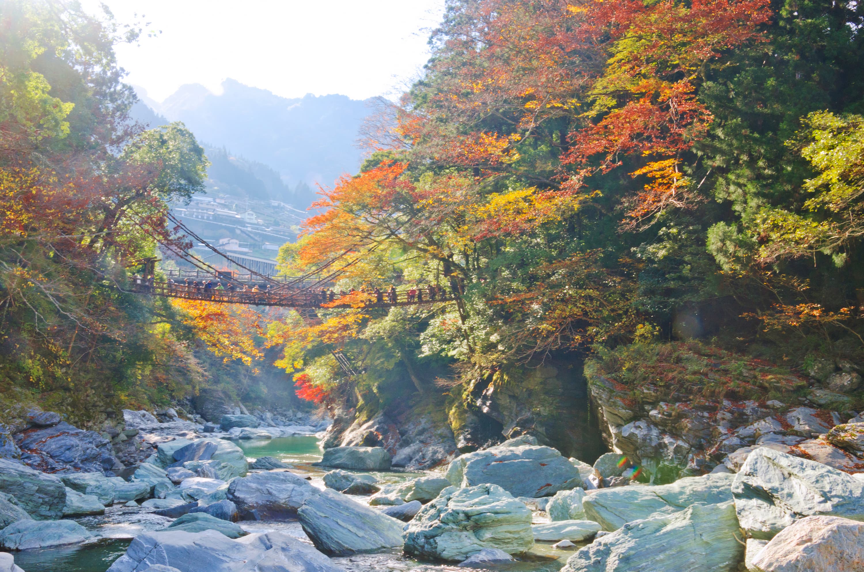 iya kazurabashi tokushima