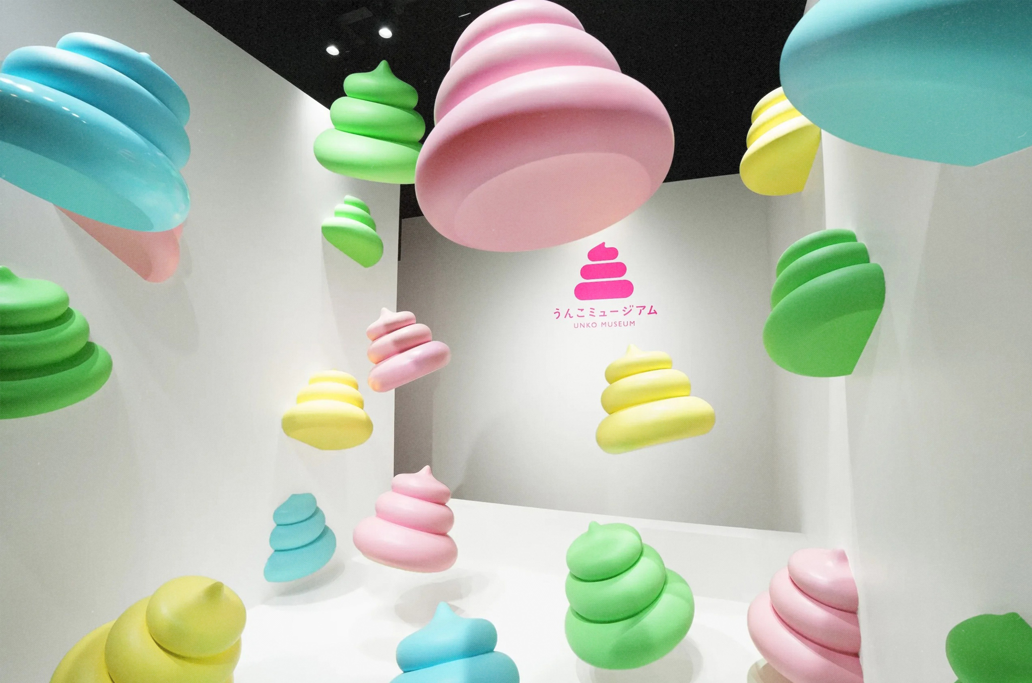 Weird Things To Do in Tokyo