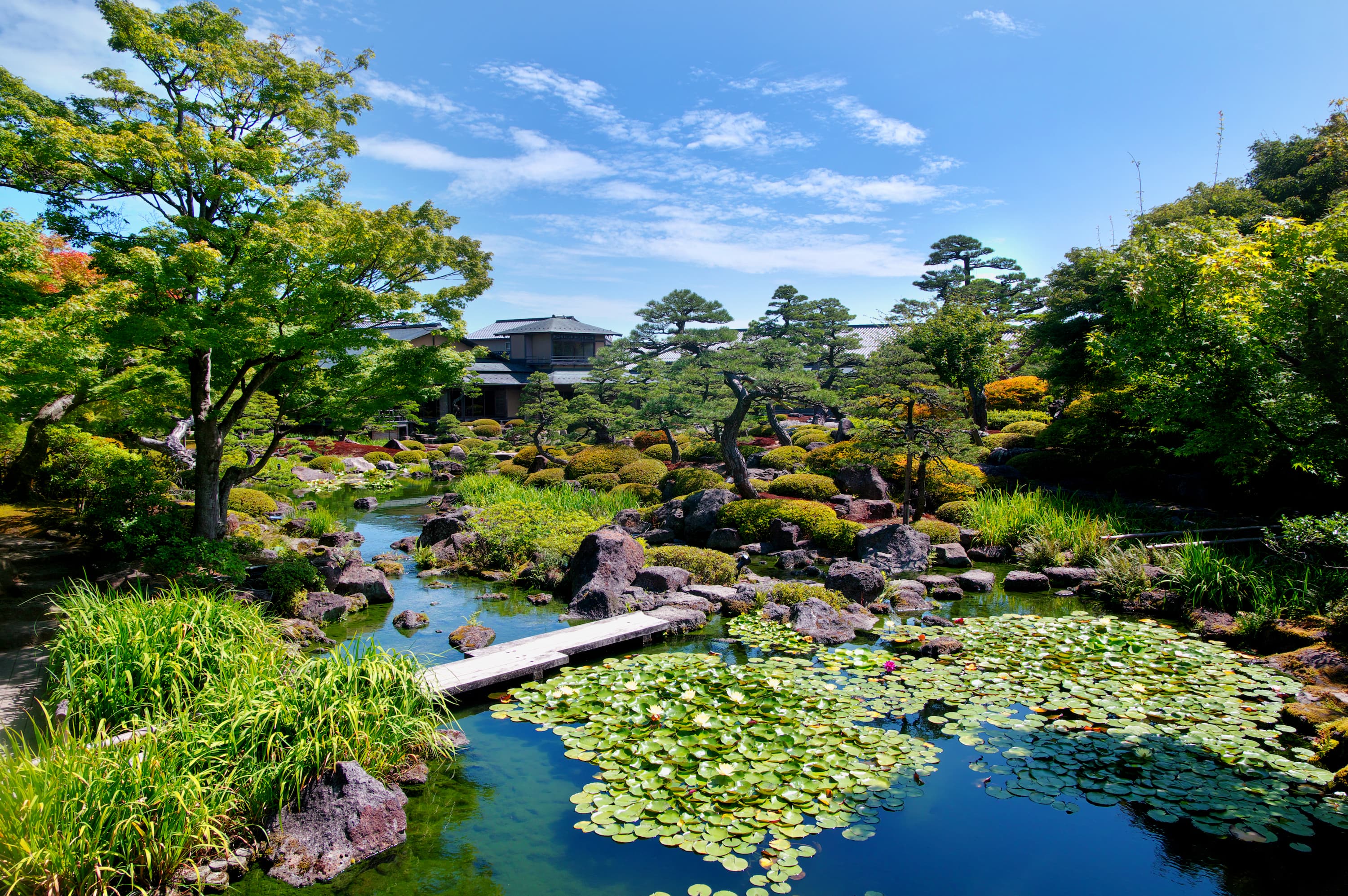 yuushien garden park shimane peony
