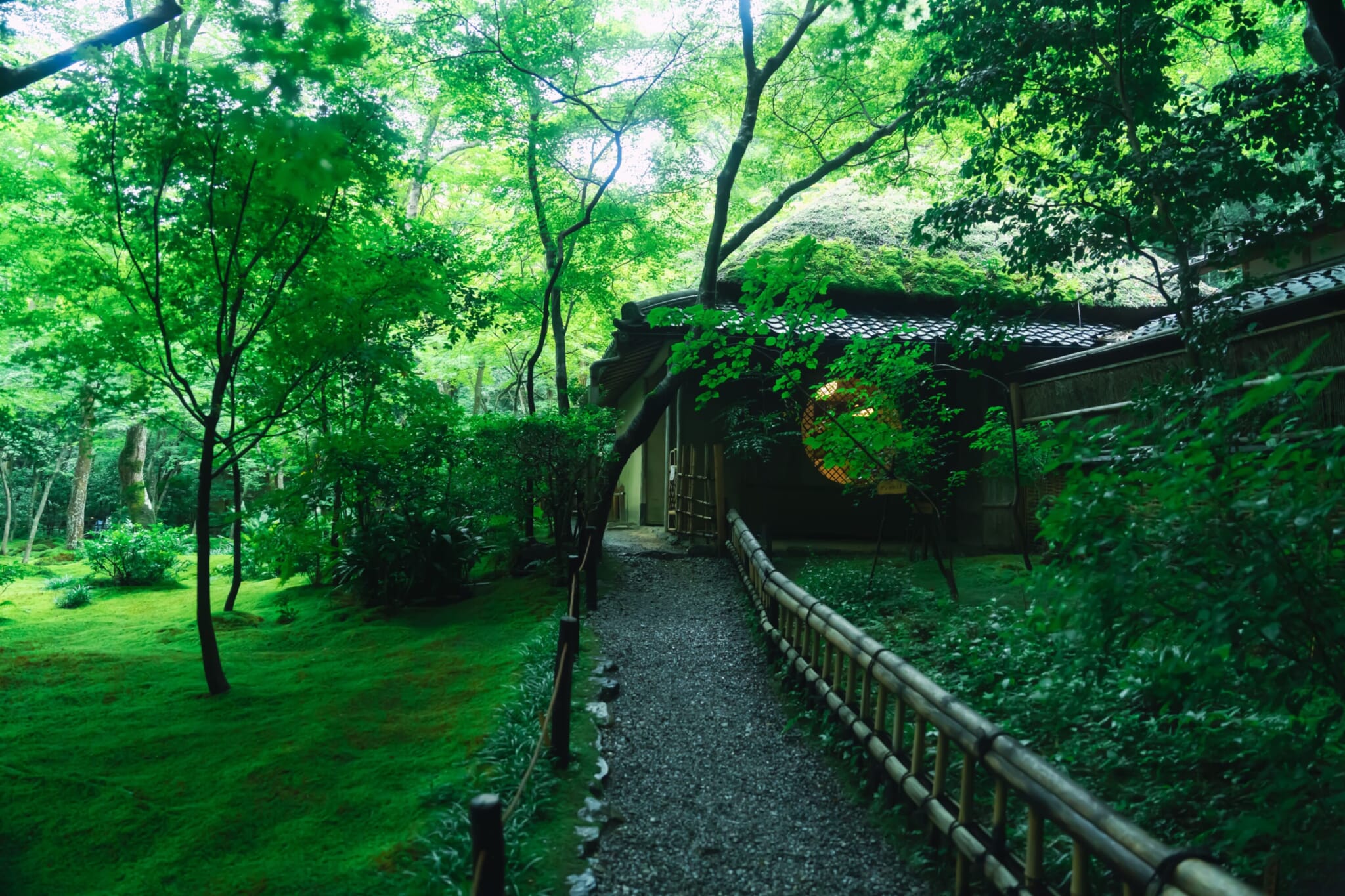 Giouji Temple moss garden kyoto