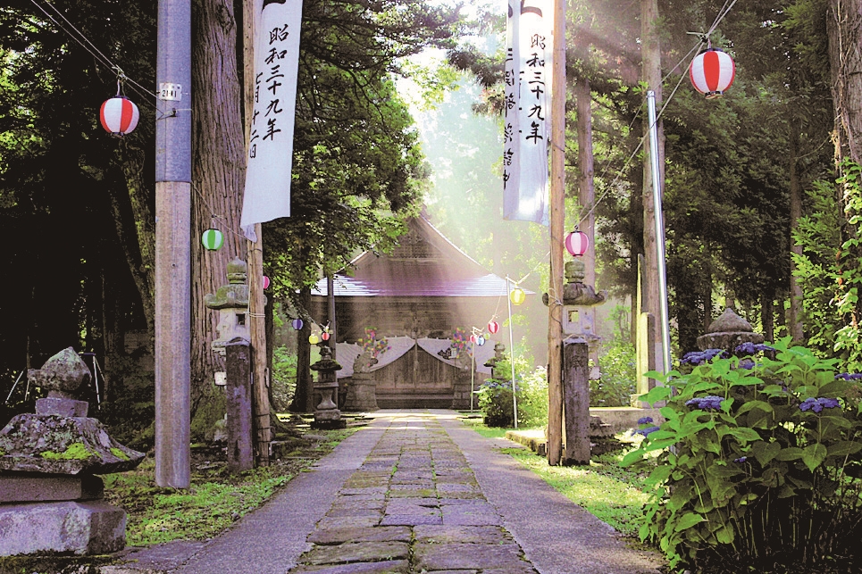 Japan's Best Moss Gardens and Forests: A Guide to 12 Magical Green Spaces