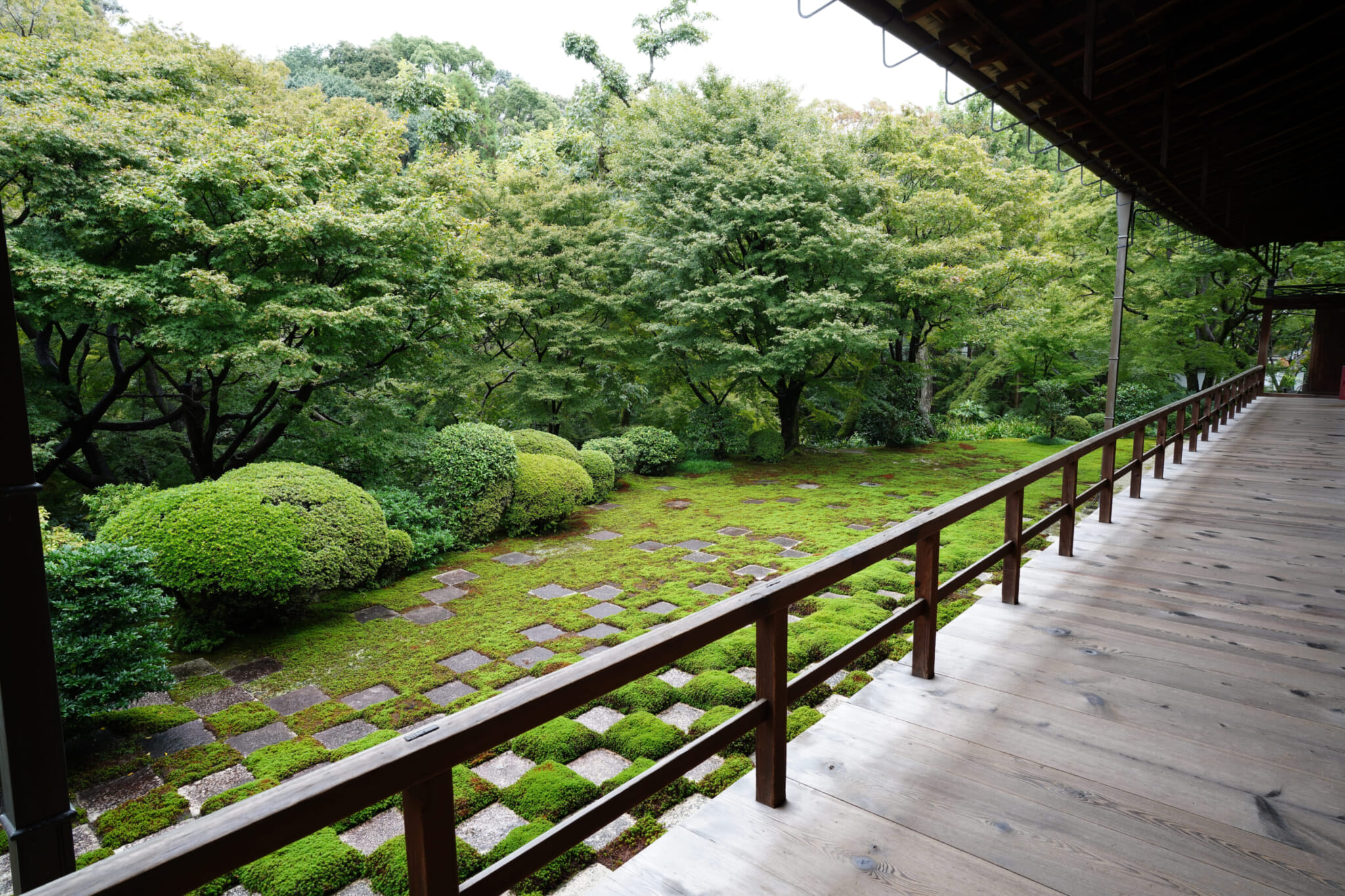 Japan's Best Moss Gardens and Forests: A Guide to 12 Magical Green Spaces