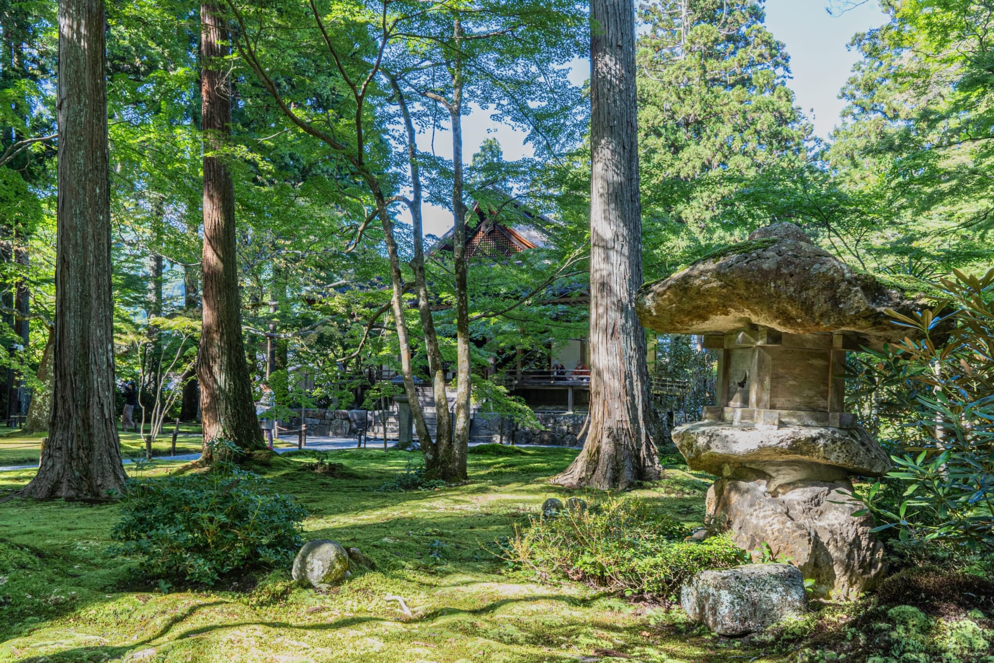 Japan's Best Moss Gardens and Forests: A Guide to 12 Magical Green Spaces