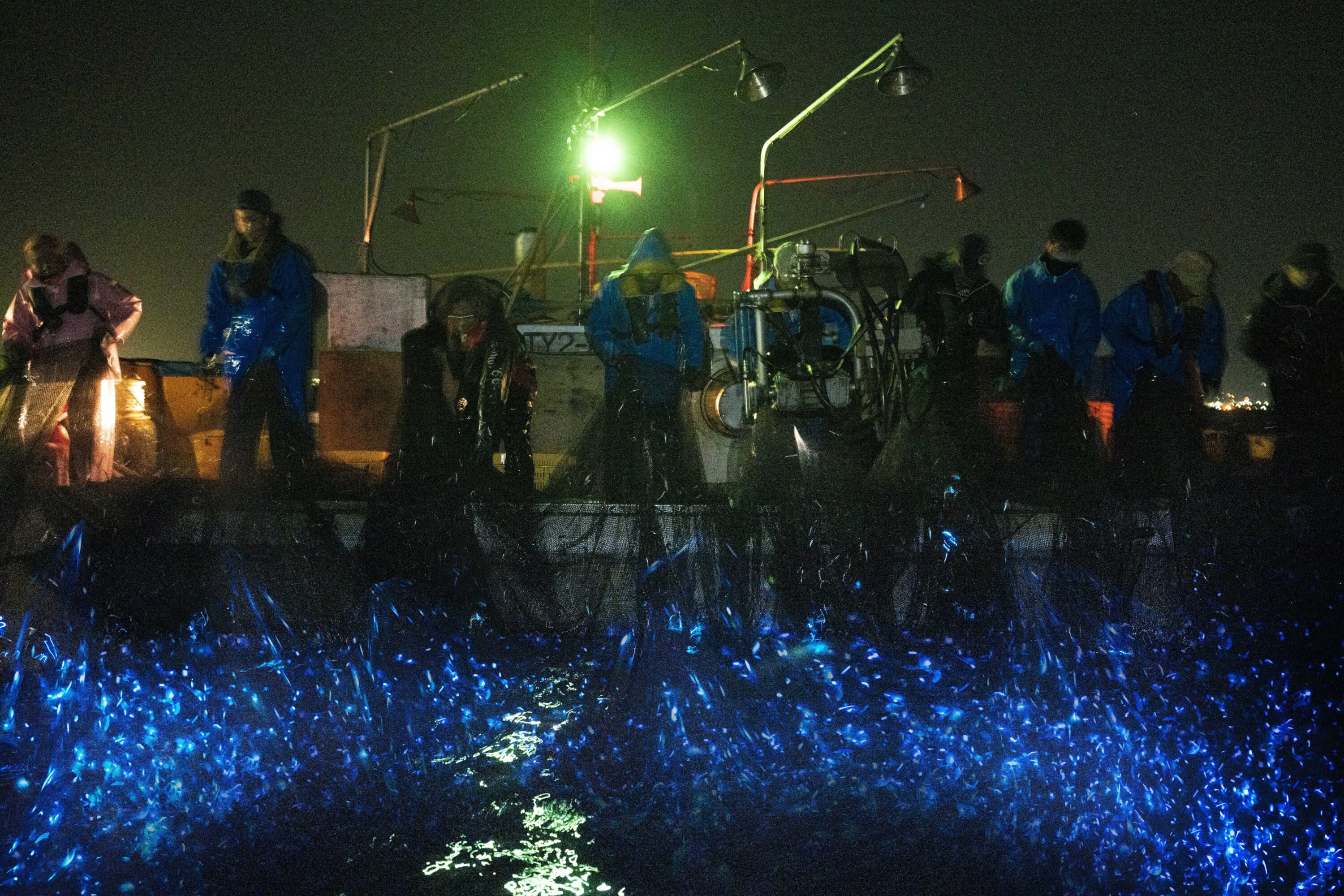 Toyama Treasures: Sushi, Sashimi and the Glow of Firefly Squid