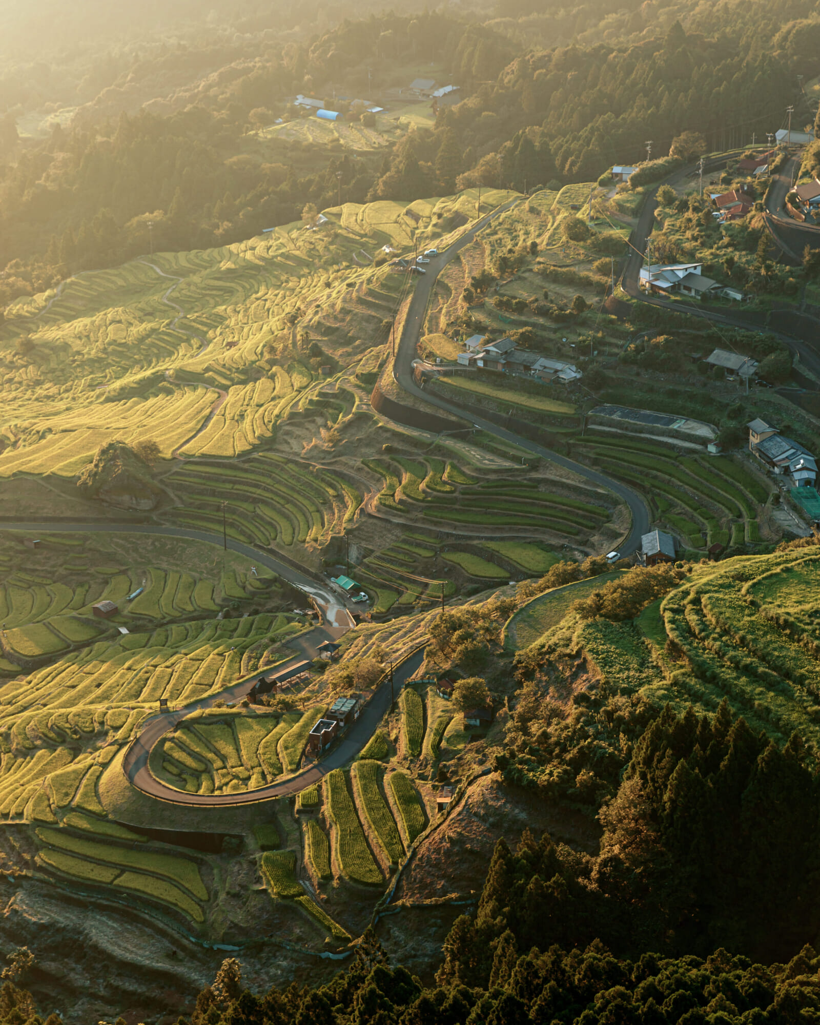 Kumano Kodo Road Trip: Driving Across Mie and Wakayama's Coast