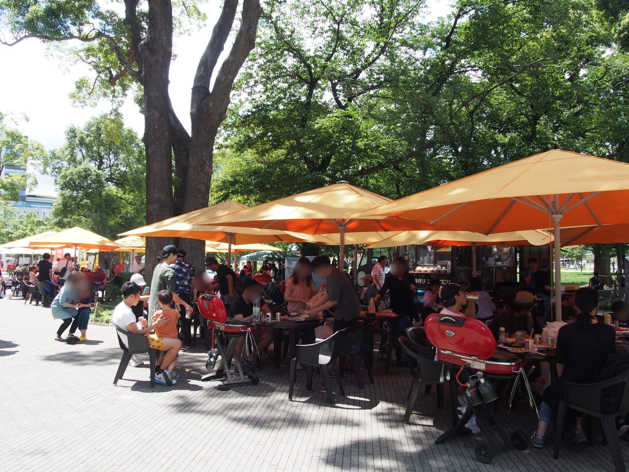 The Best Tokyo Beer Gardens 2026: A Complete Nomihoudai Summer Guide