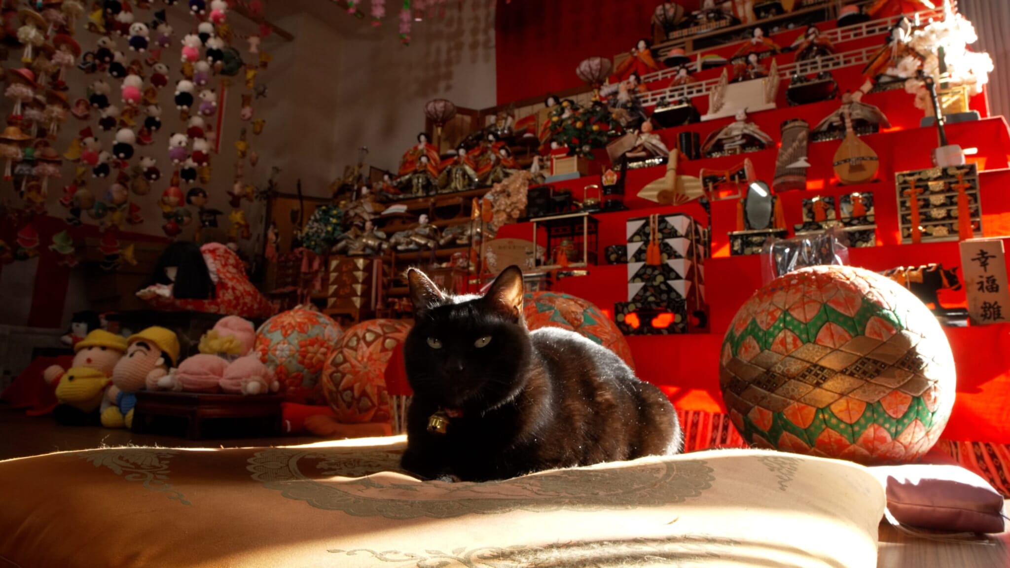 Inside the NHK Travel Show Where Cats Show You Across Japan
