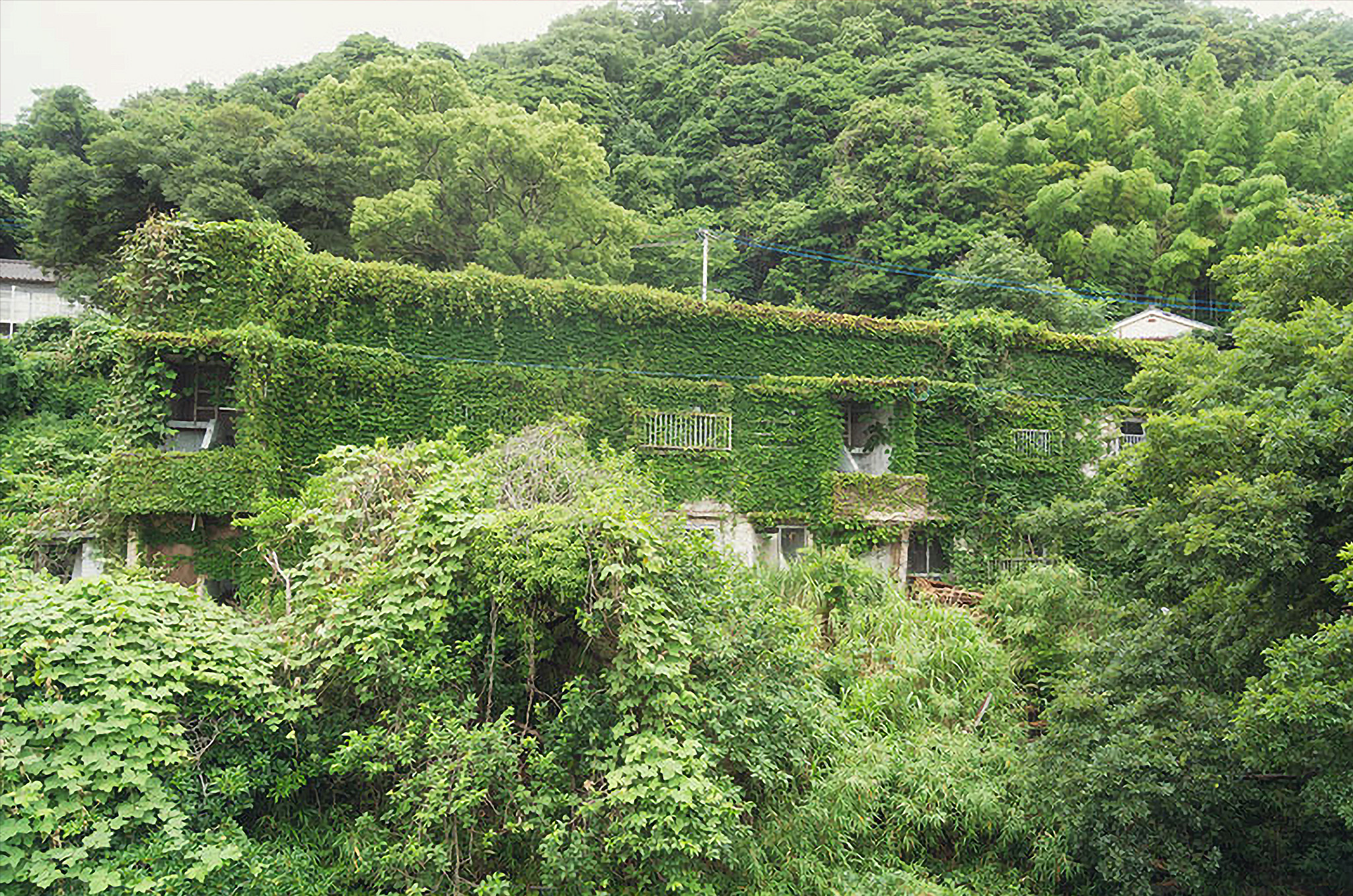 How a ¥900,000 Abandoned Danchi Became Home to Bars, Hobby Rooms and an Adult Museum