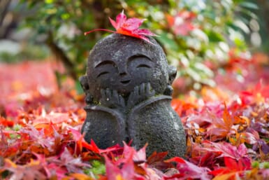 November 2026 Horoscope