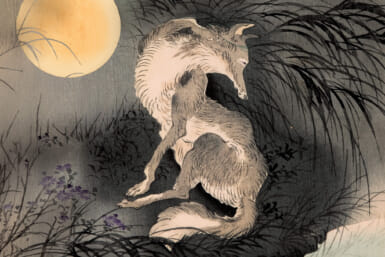 werewolves in japan
