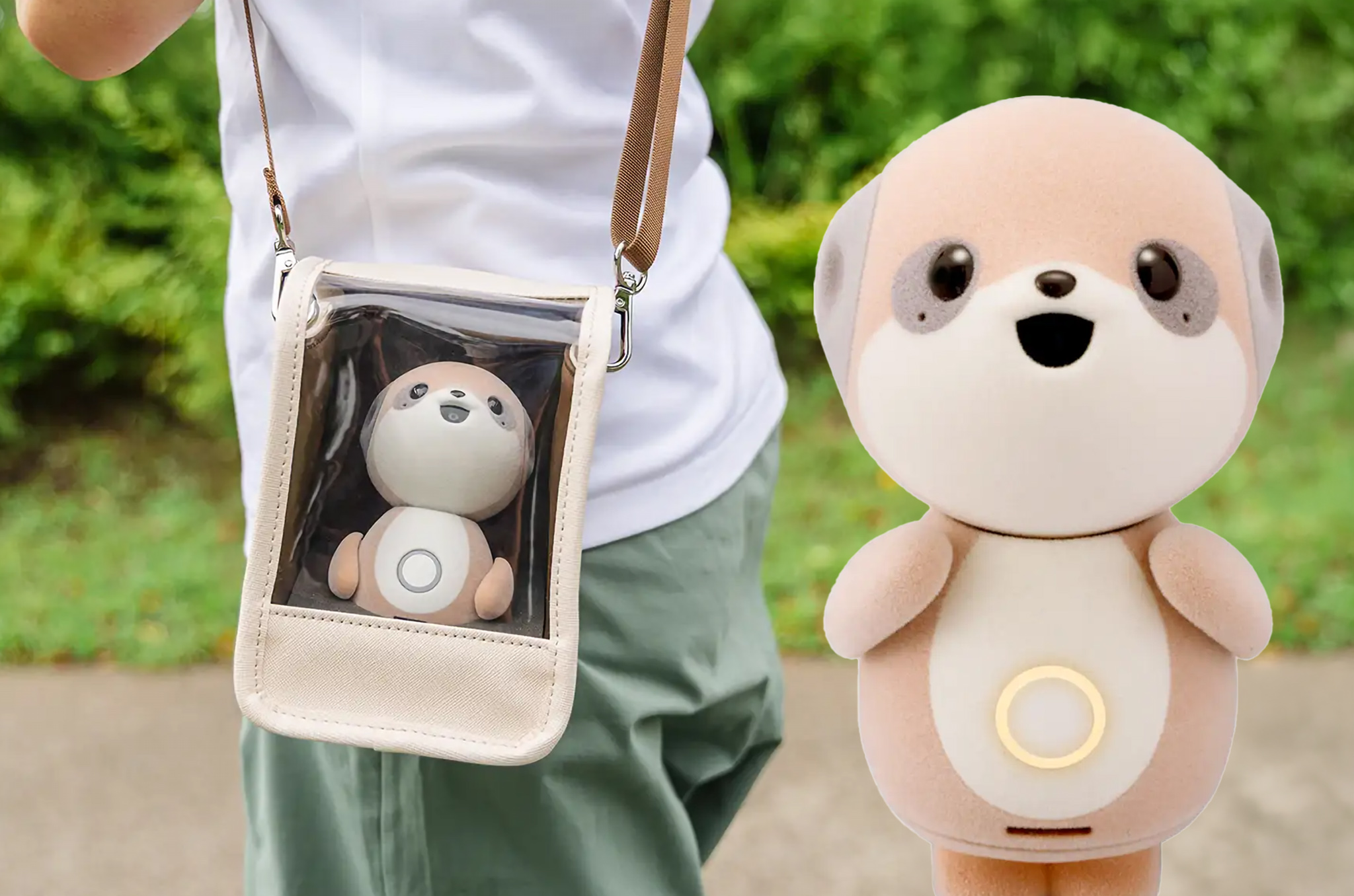 poketomo ai meerkat robot japanese